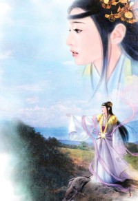 拒做丫鬟：城主别暧昧
